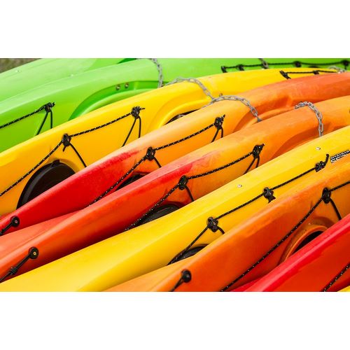 Horton, Janet 아티스트의 Issaquah-Washington State-USA Colorful kayaks lying on their side작품입니다.